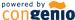 Congenio srl - Consulenza eBusiness & Marketing